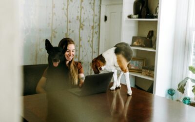 How Can I Reduce My Reliance on the Future Sale of My Veterinary Practice for Retirement Income?